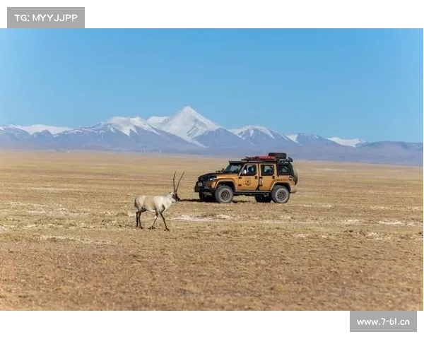 越野赛事背景介绍 越野巅峰对决英雄征途极限挑战荒野荣耀